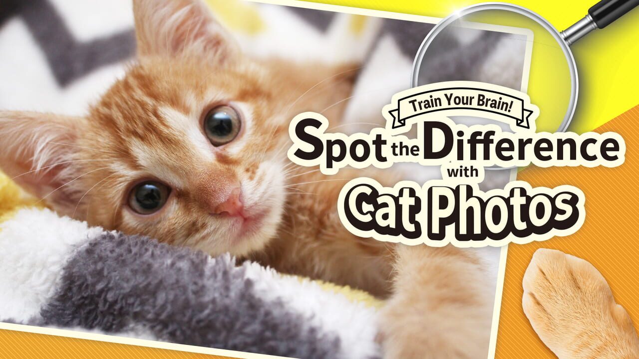 Train Your Brain! Spot the Difference with Cat Photos Image