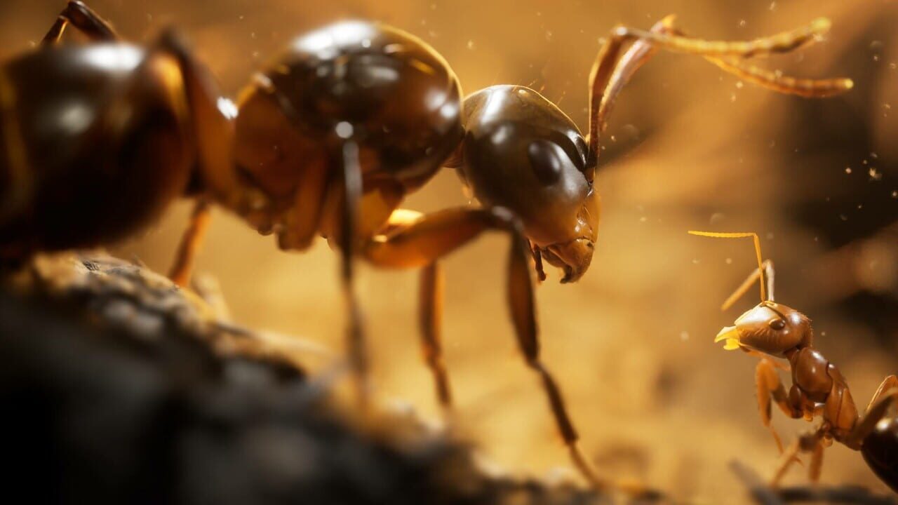 Empire of the Ants Image