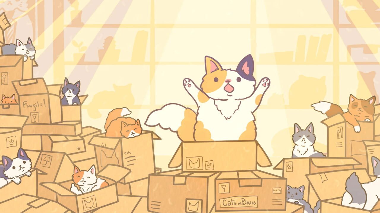 Cats in Boxes Image