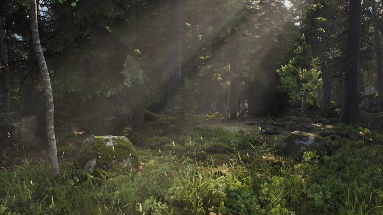 Mushroom Hunter Simulator artwork 1