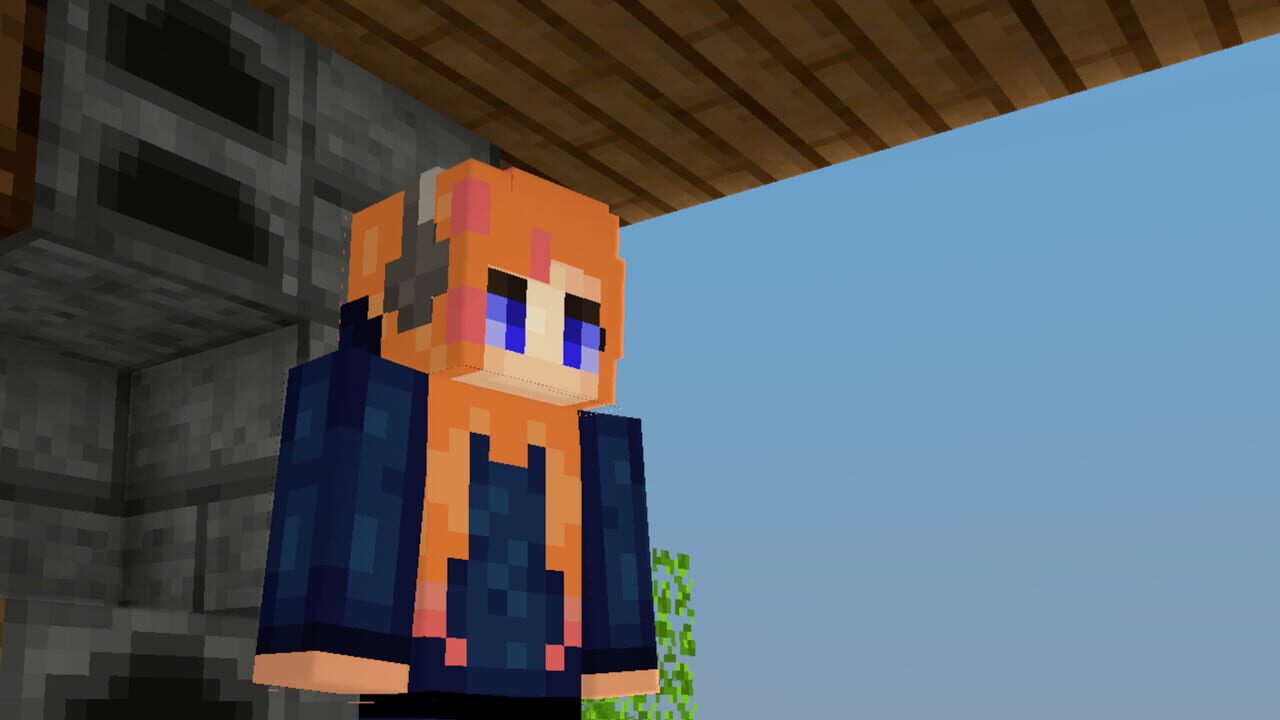 Voxel Eras Image