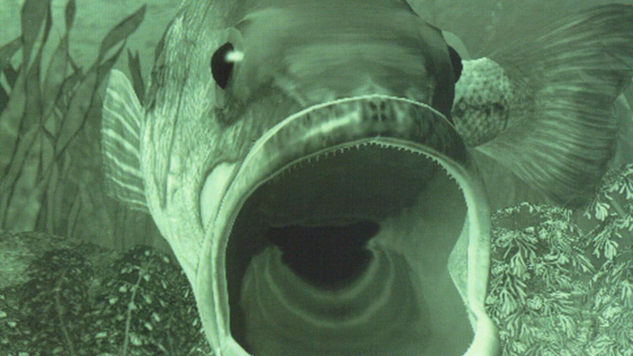 Reel Fishing Image