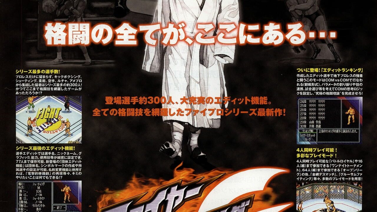 Fire Pro Wrestling G Image