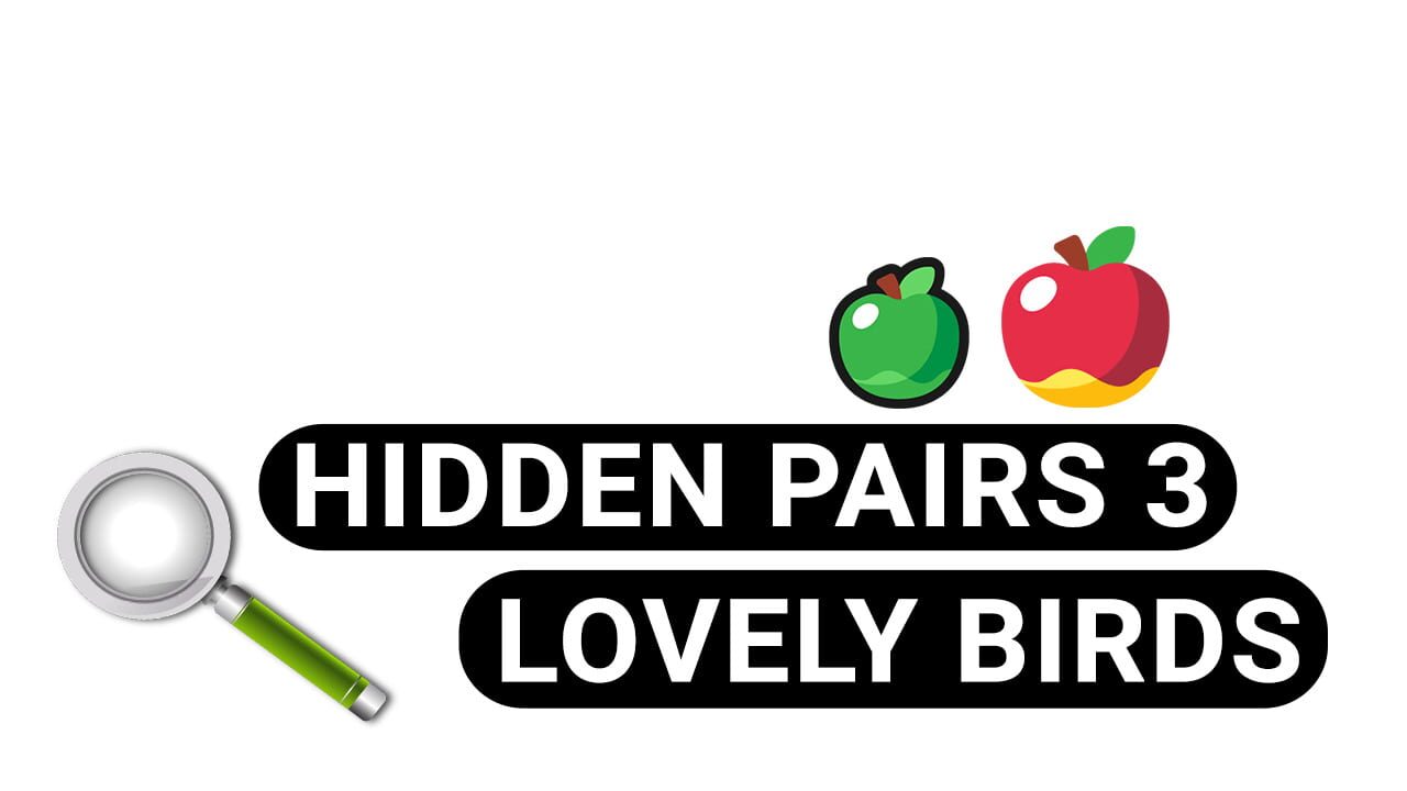 Hidden Pairs 3: Lovely Birds Image