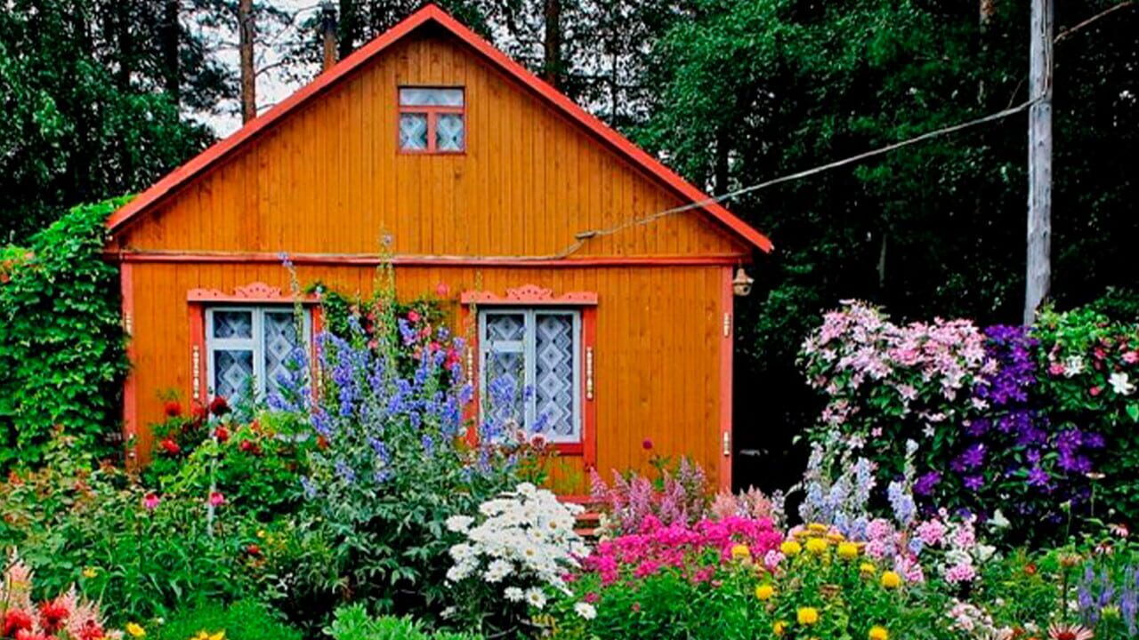 Dacha Image