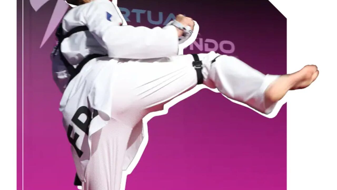 Virtual Taekwondo Image
