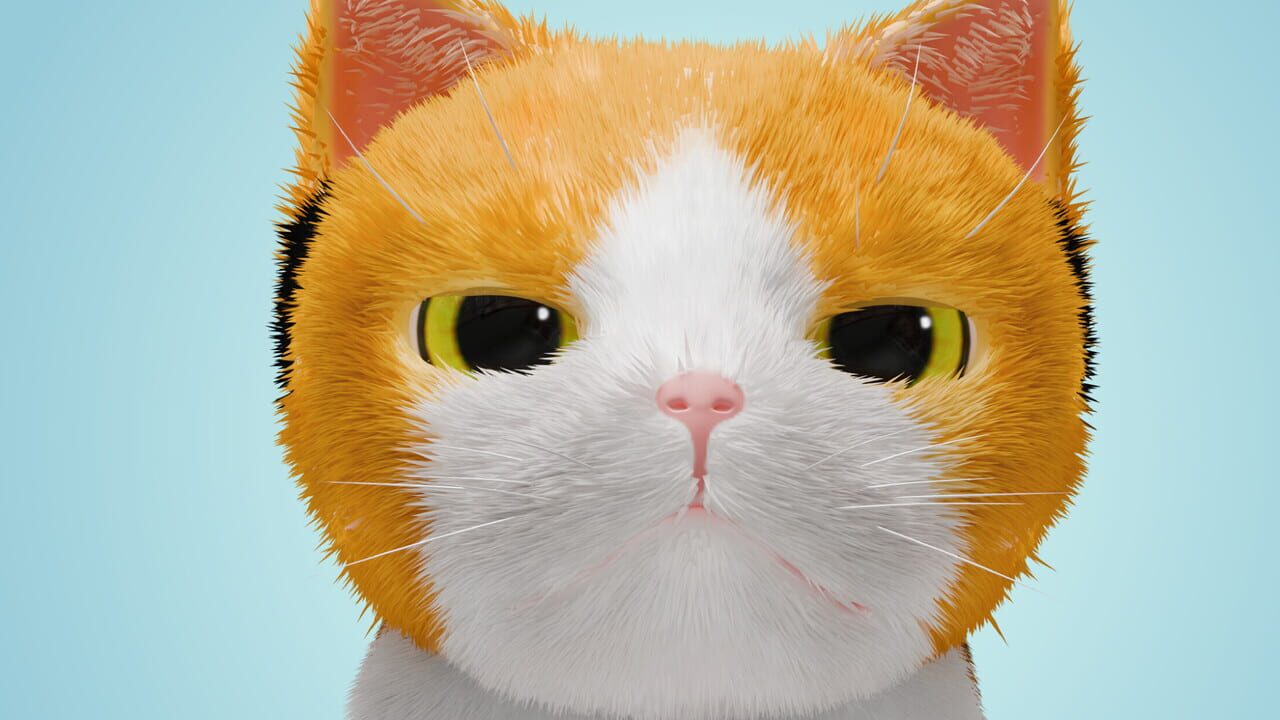 Neko Tissue Image