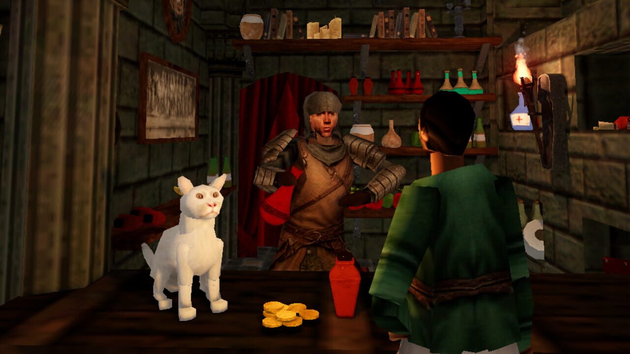 Dungeon Bodega Simulator artwork 2