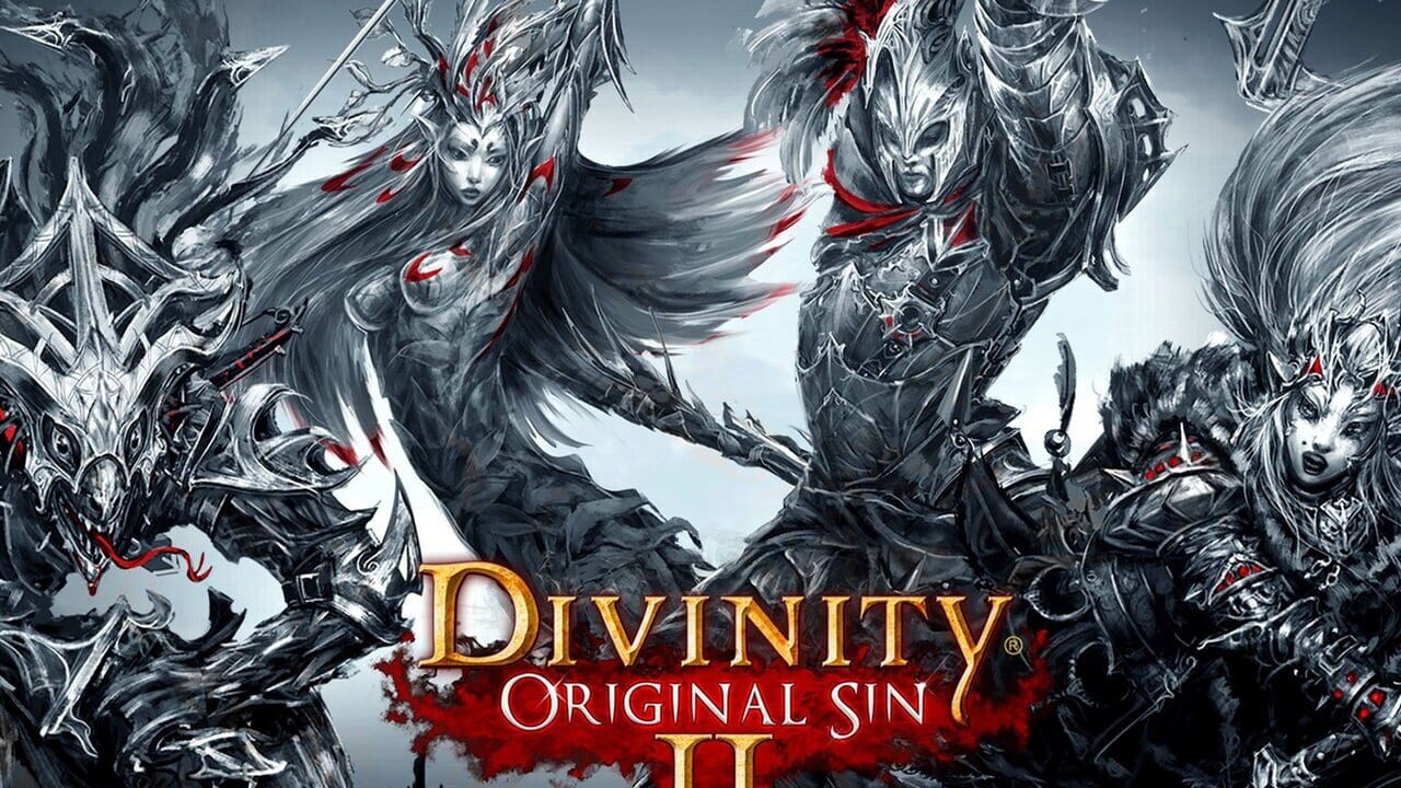 Divinity: Original Sin II Image