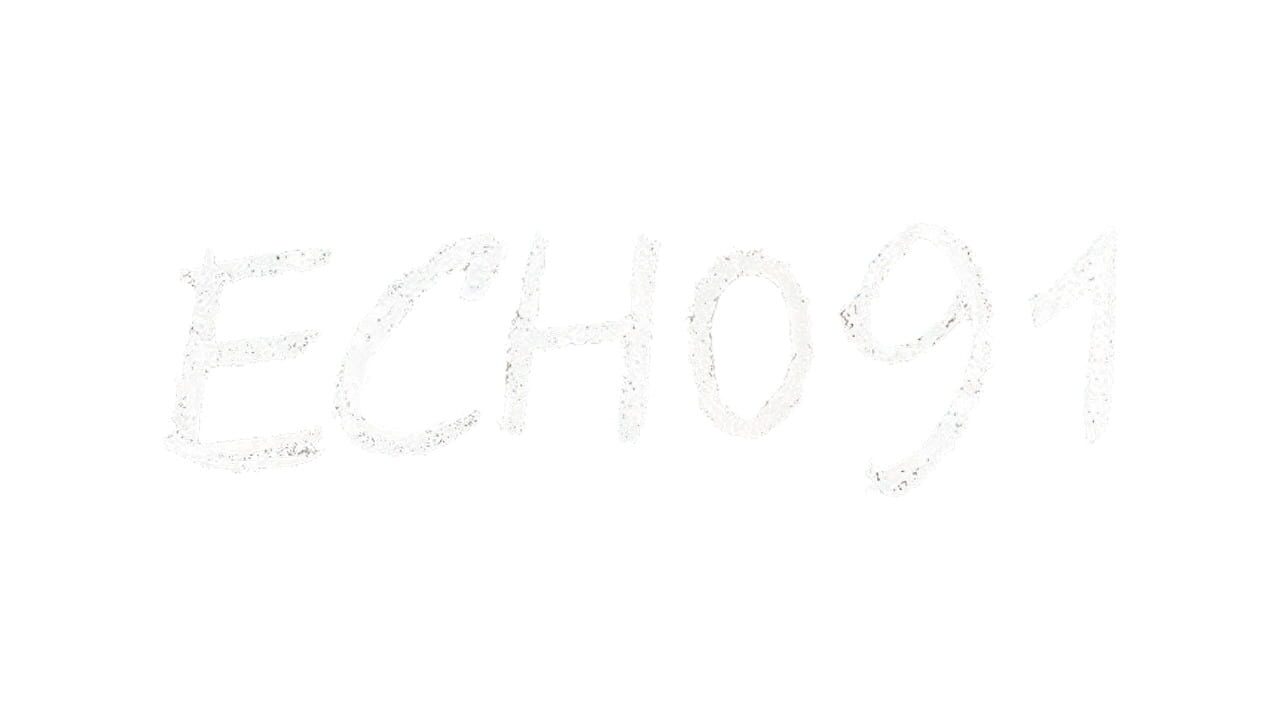 Echo 91 Image