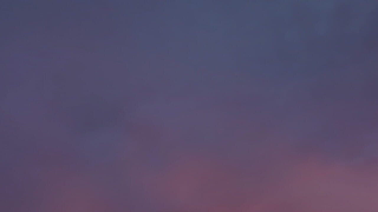 Palm Simulator 2 Image