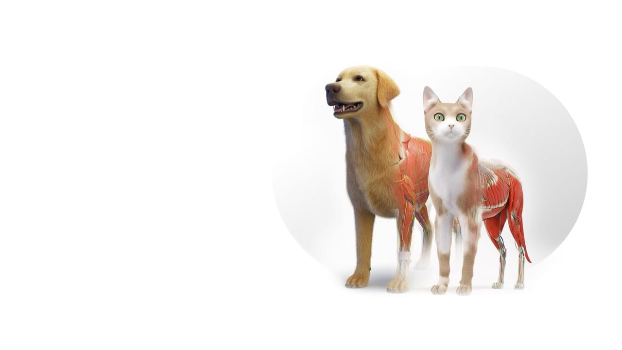 Animal Anatomy VR Image