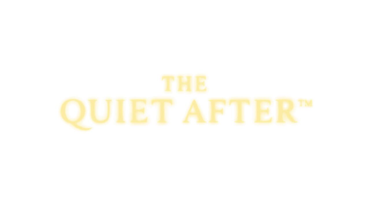 The Quiet After artwork 2