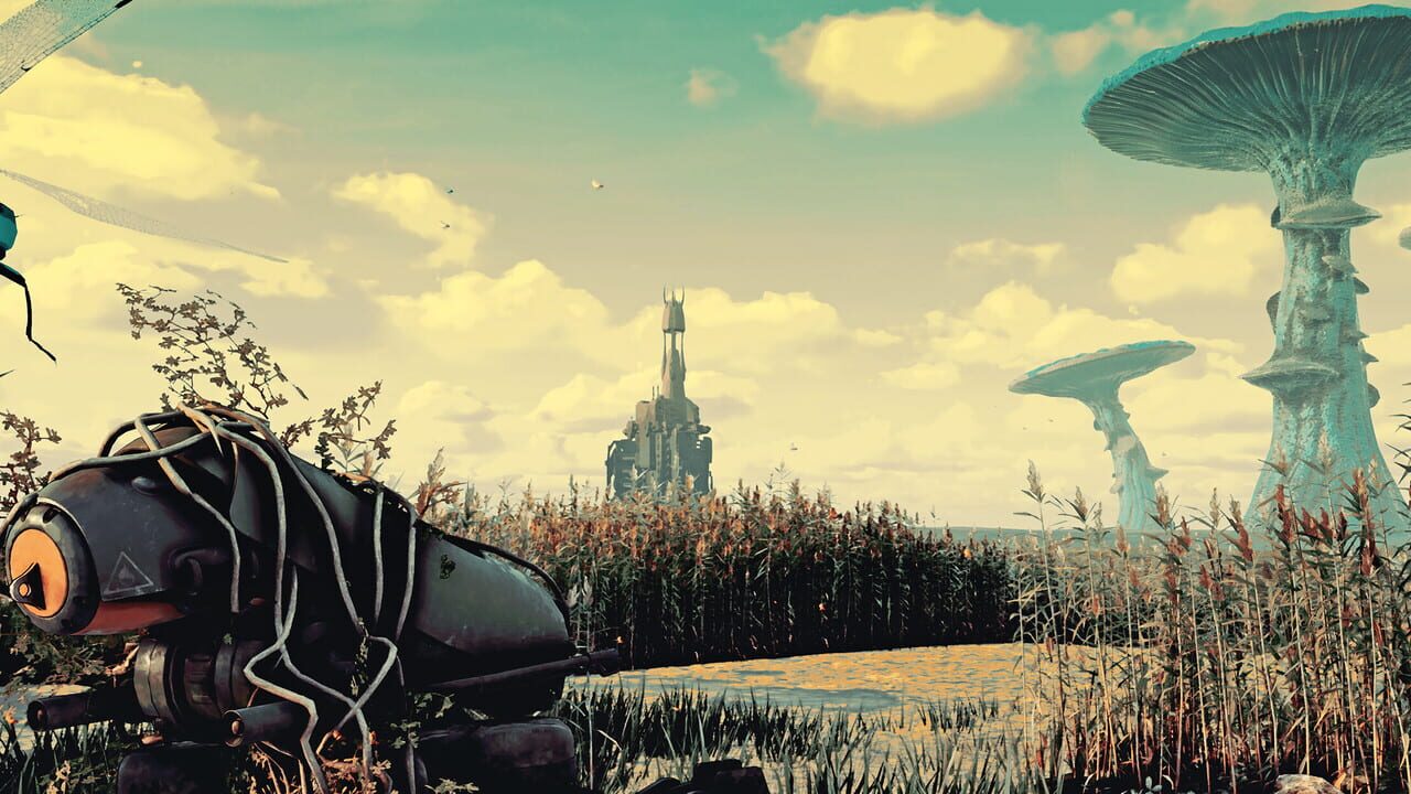 Back in the Swamp Image