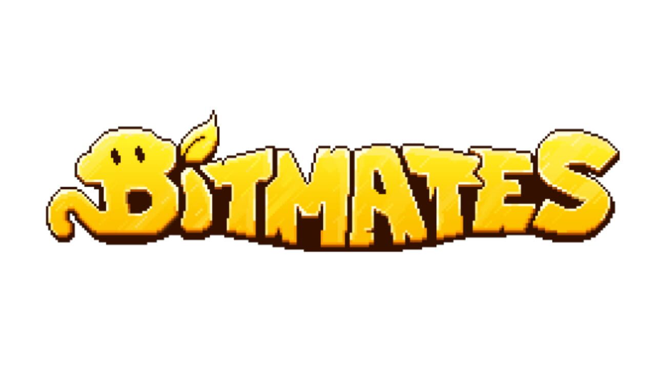 Bitmates Image