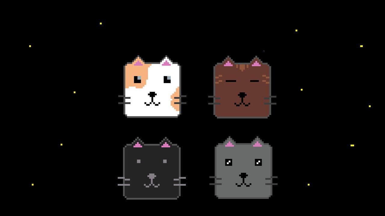 Cat Puzzle Image