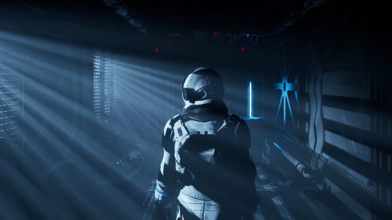 The Dark Curiosity Image