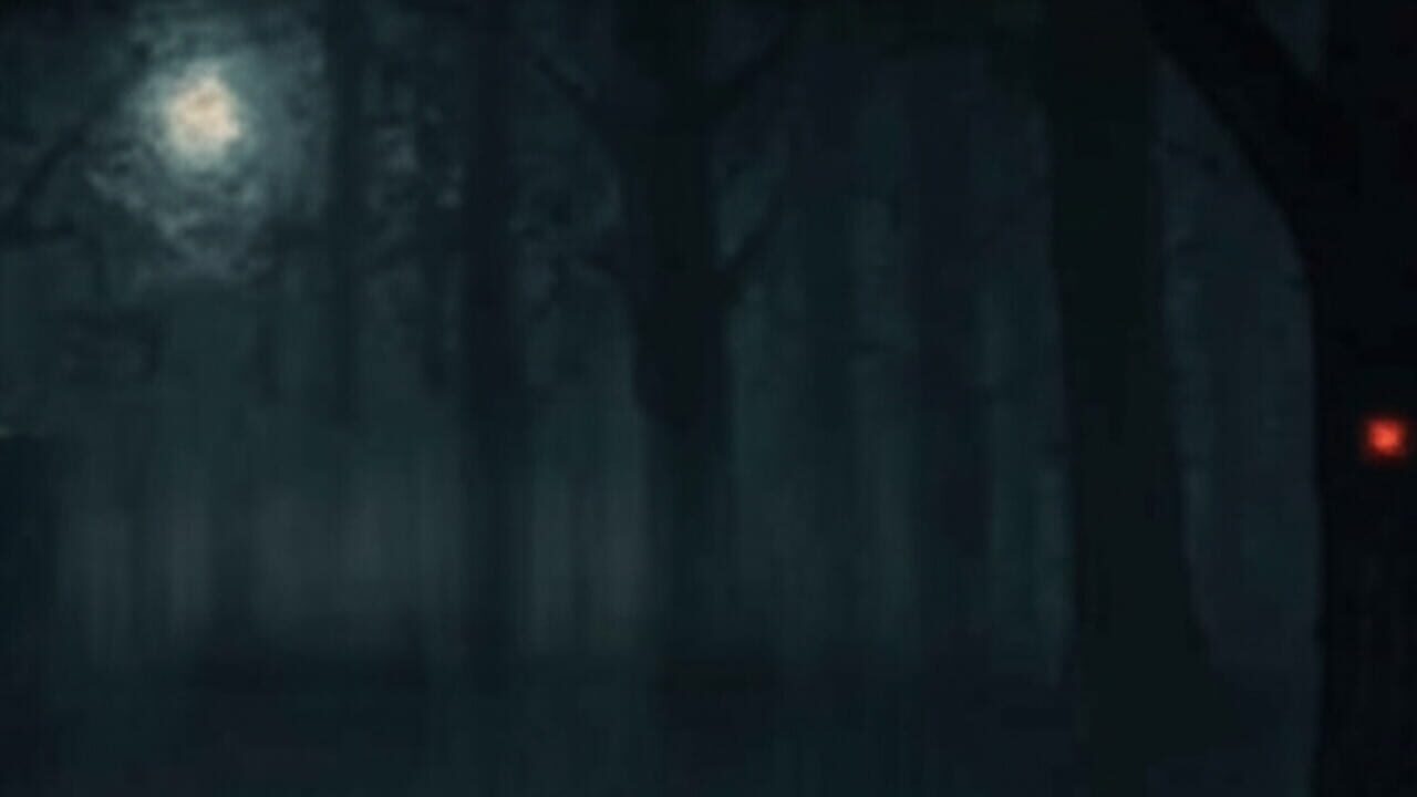 Forest Survival Image
