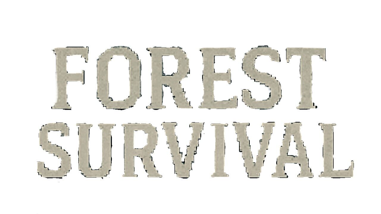 Forest Survival Image