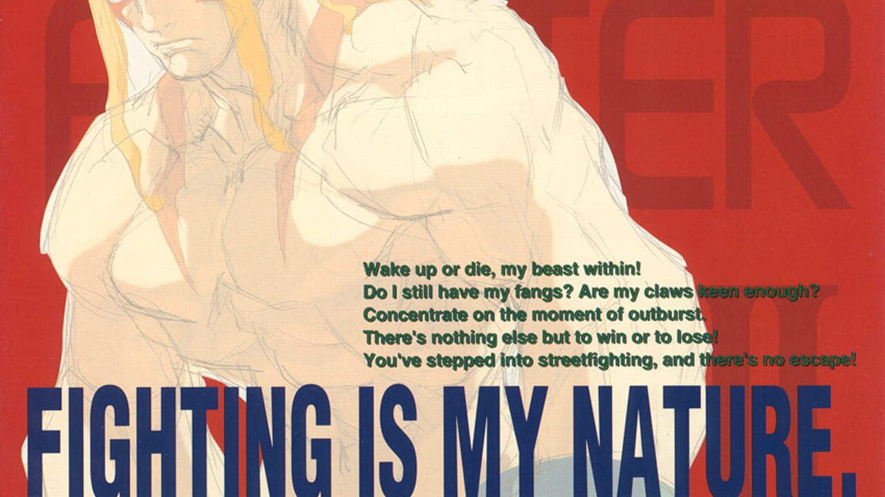 Street Fighter III: New Generation Image