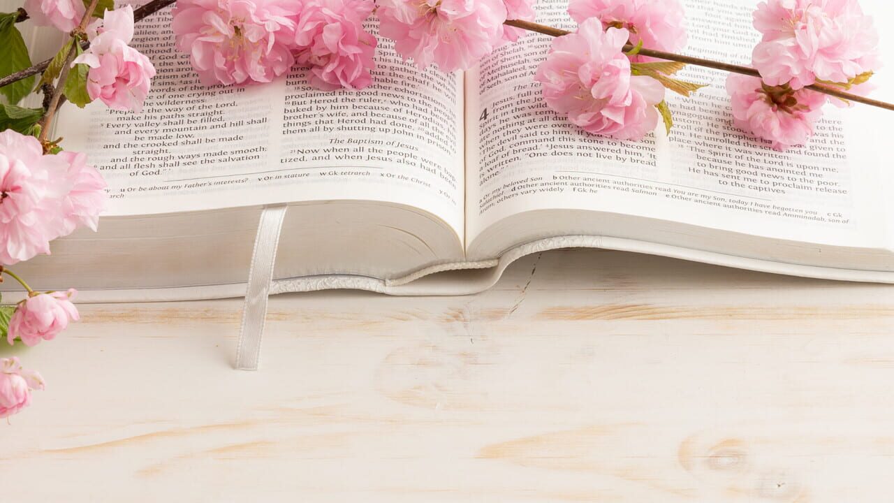 Bible Verse Challenge Image