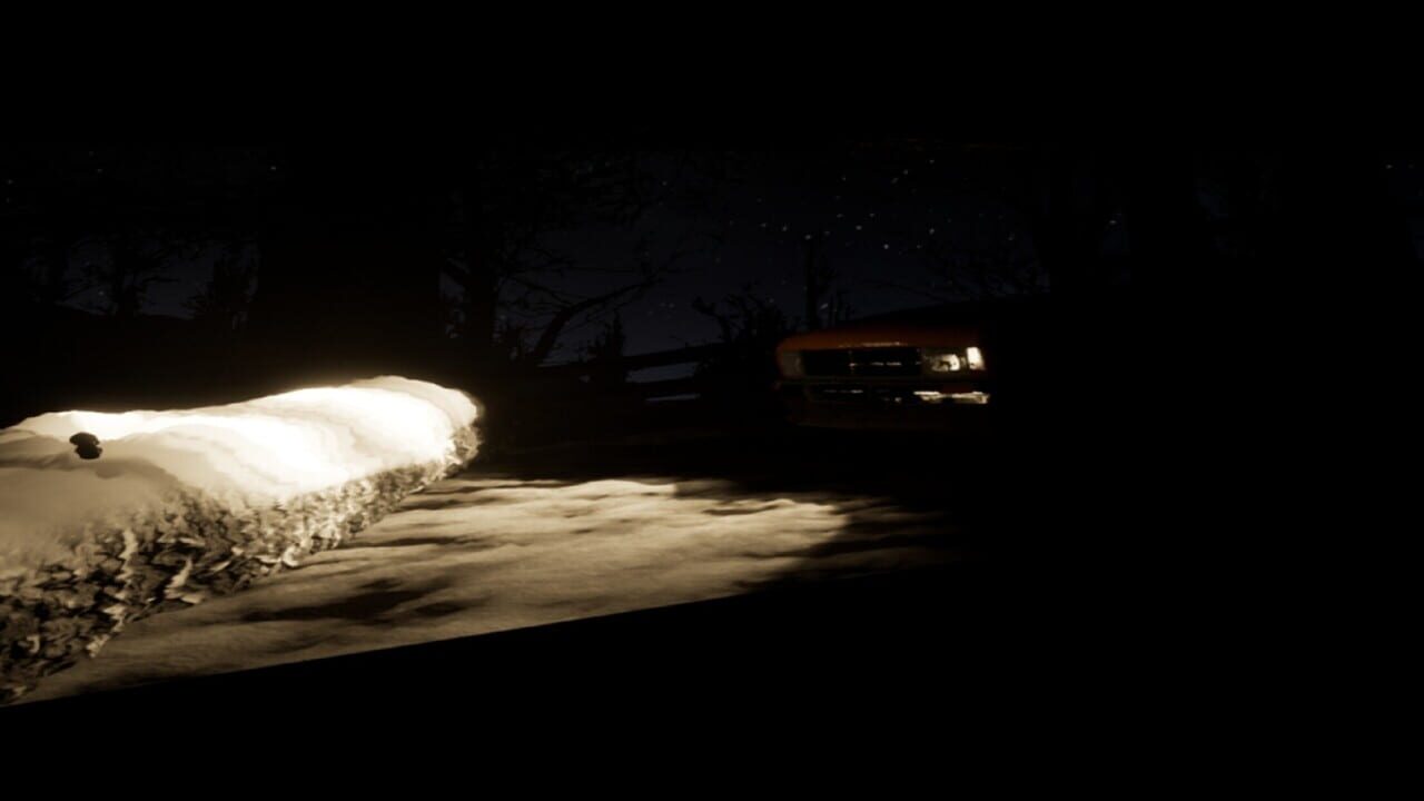 The Late Arrival Image