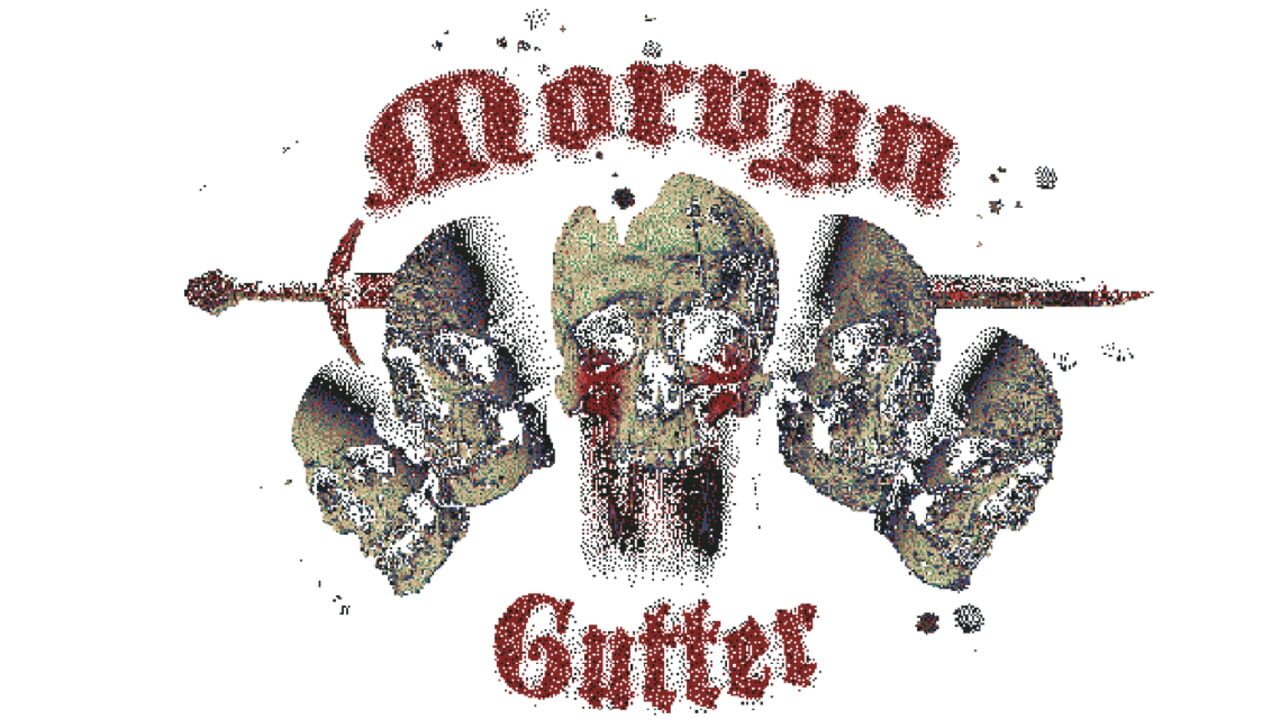 Morvyn Gutter Image
