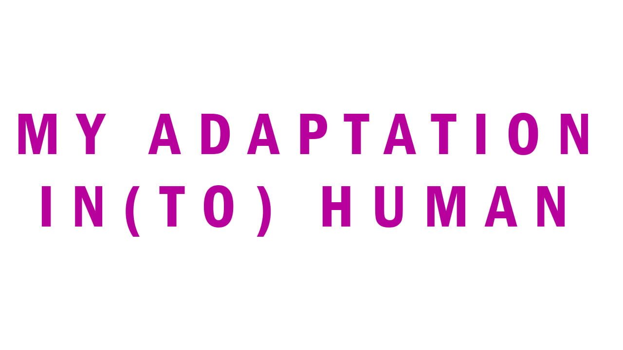 My Adaptation In(to) Human Image