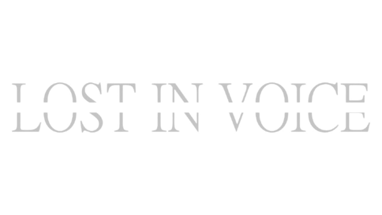 Lost in Voice Image
