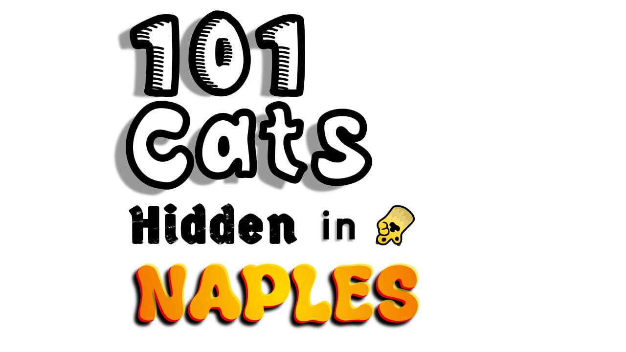 101 Cats in Naples Image