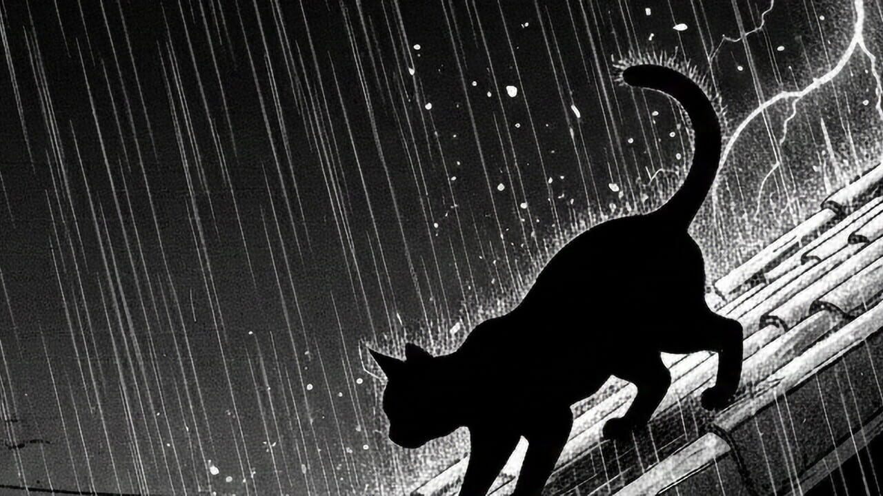 The Lucky Stray Cat Image