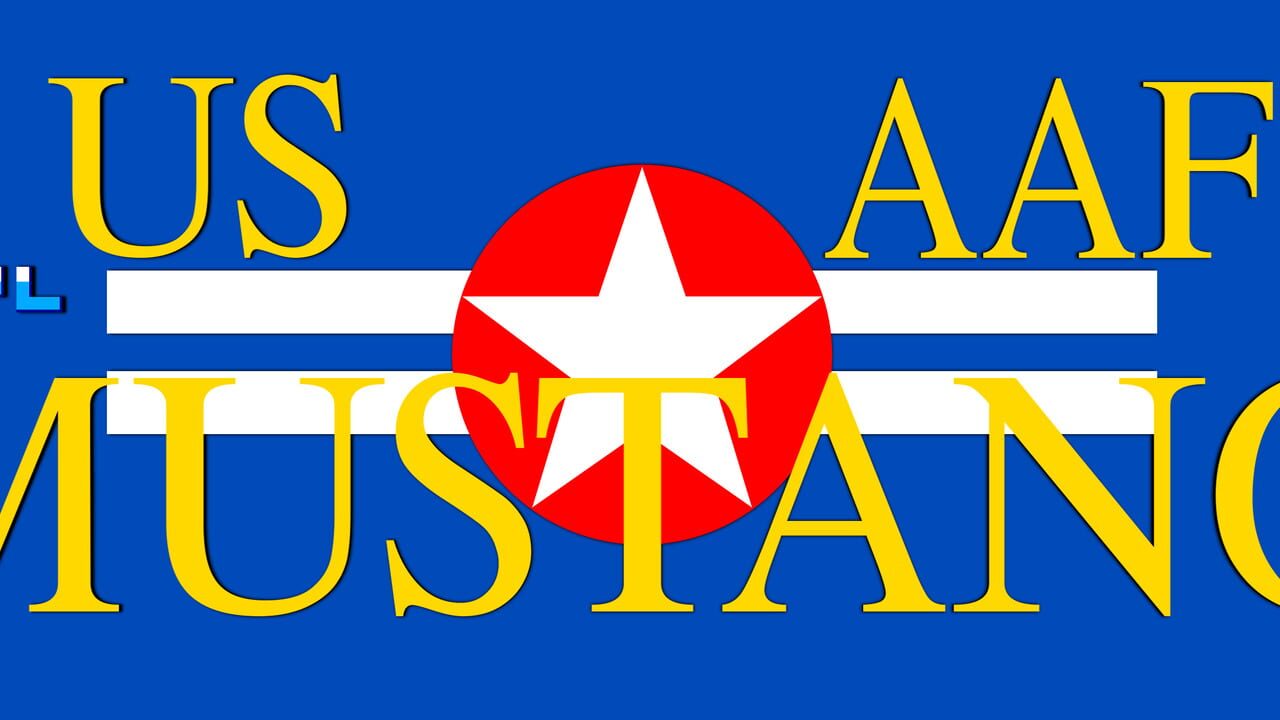 US AAF Mustang Image