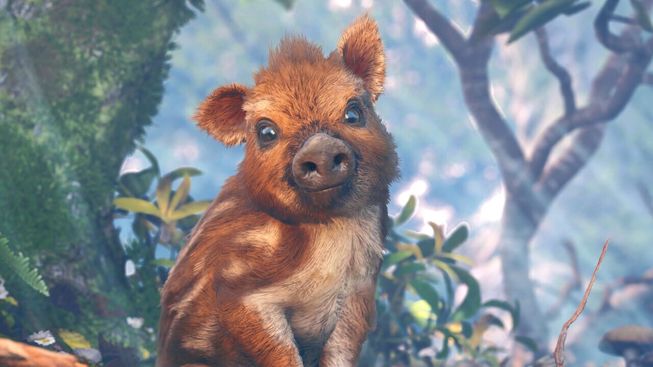 Adorable Adventures cover art