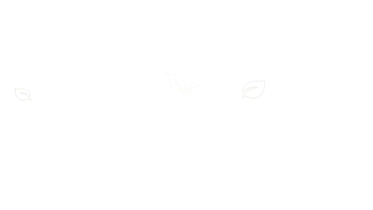 Planternauts Image