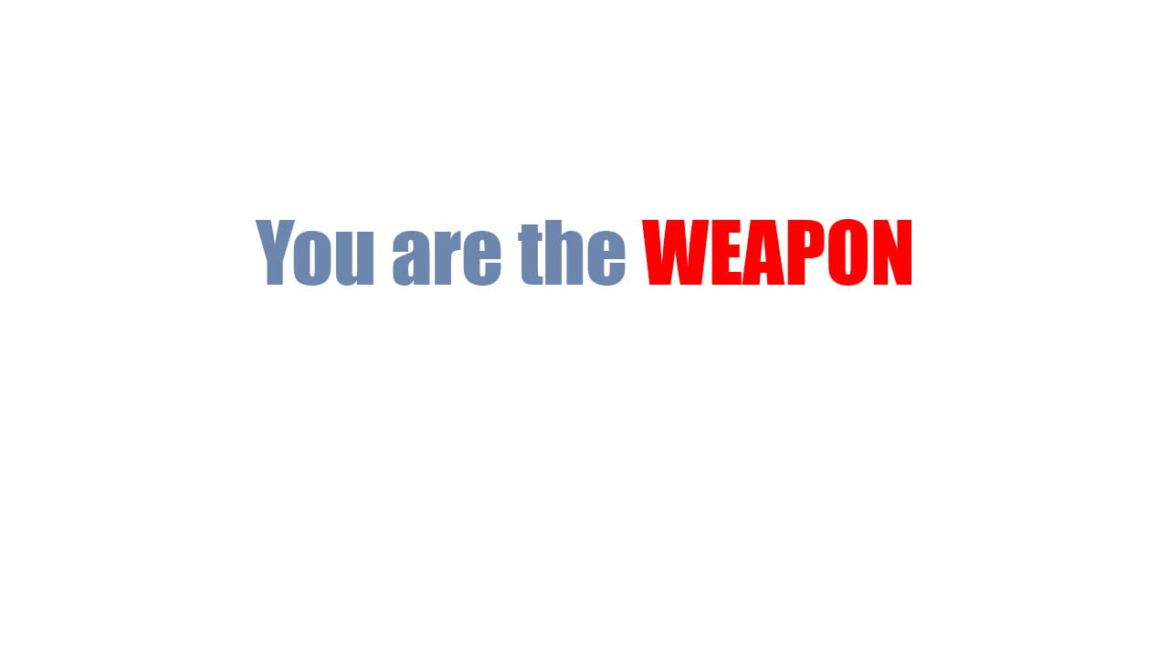 You are the Weapon Image