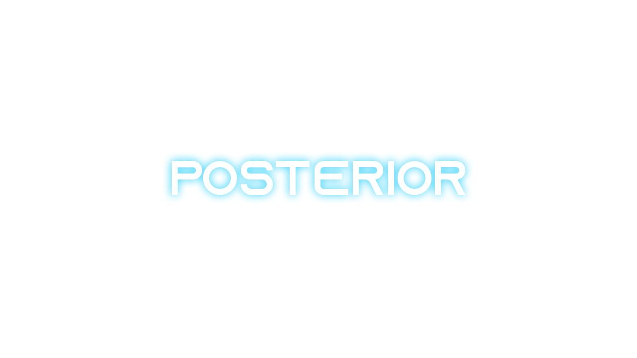 Posterior Image