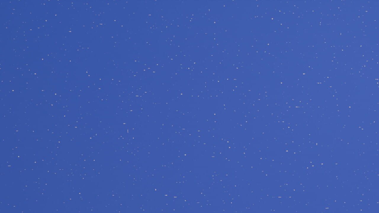 Petrichor artwork 1