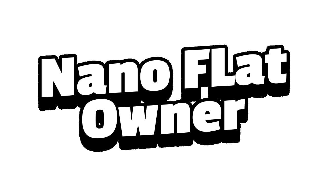 Nano Flat Owner artwork 4