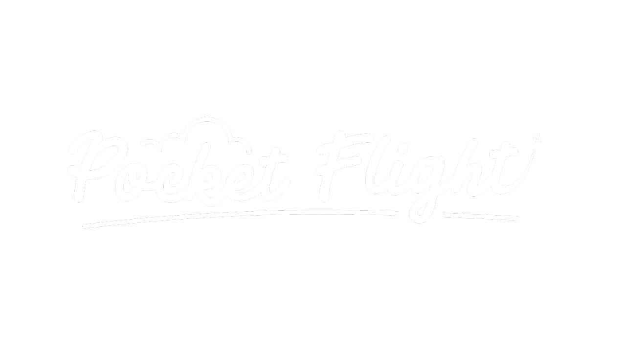Pocket Flight Image
