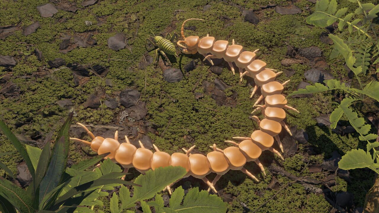 Centipede Simulator Image