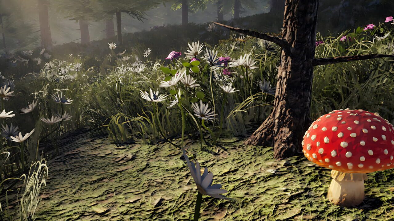 Forager's Finds Image