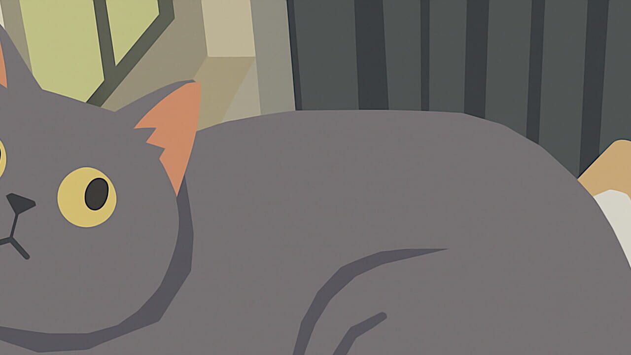 Cat Chaos Image