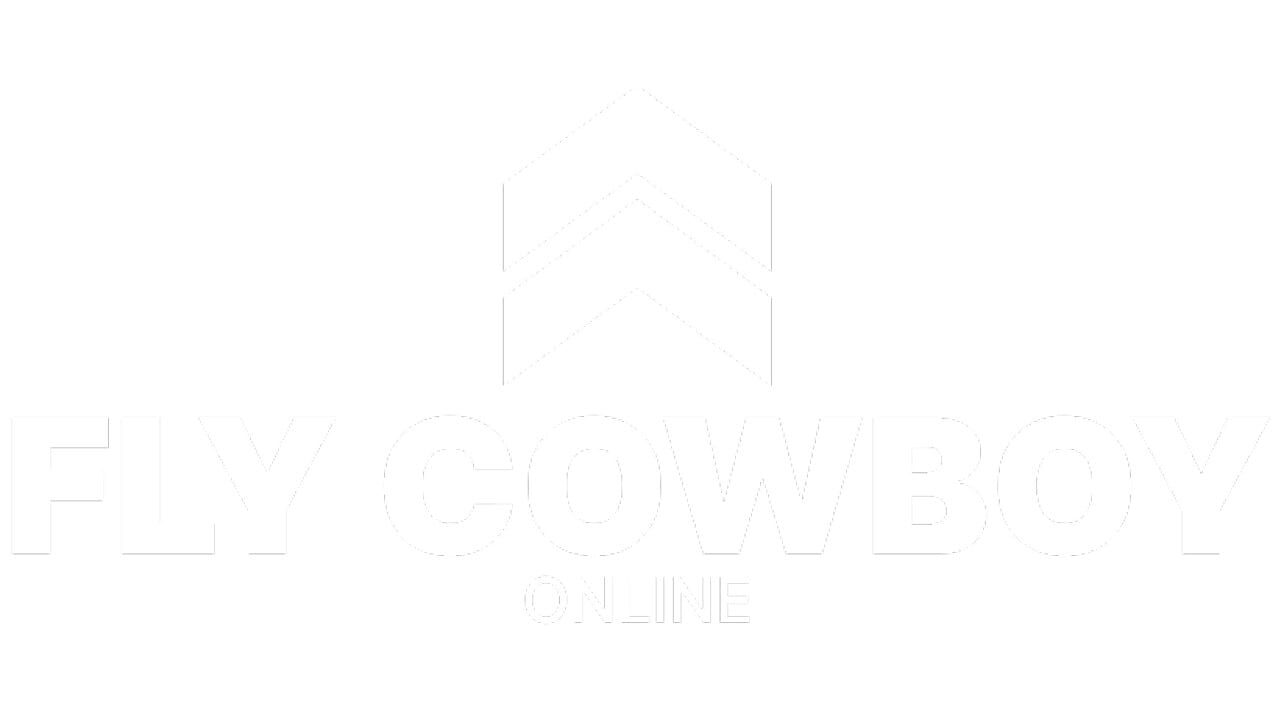 Fly Cowboy Online Image