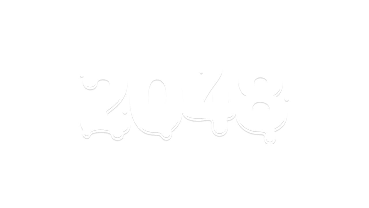 2048 Image