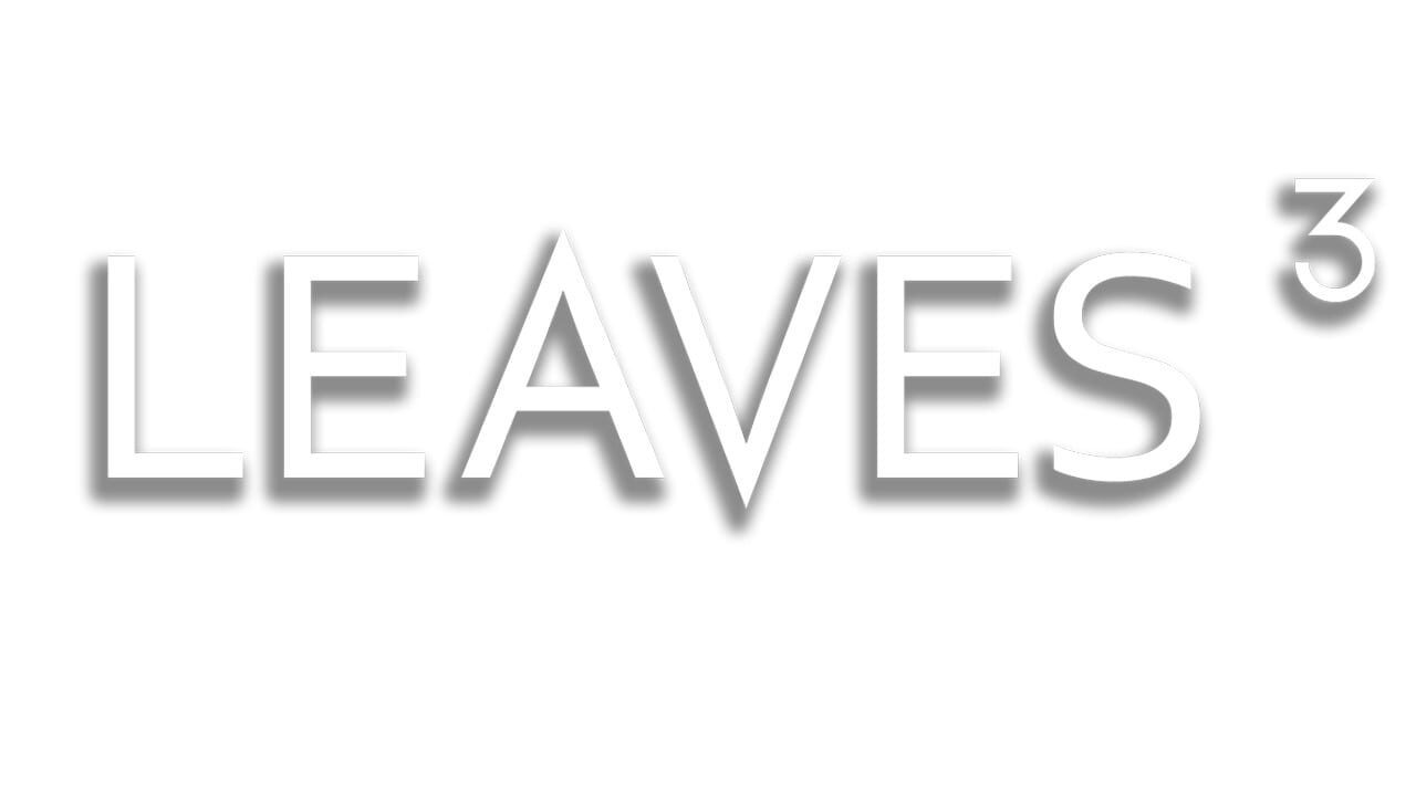 Leaves 3 artwork 2