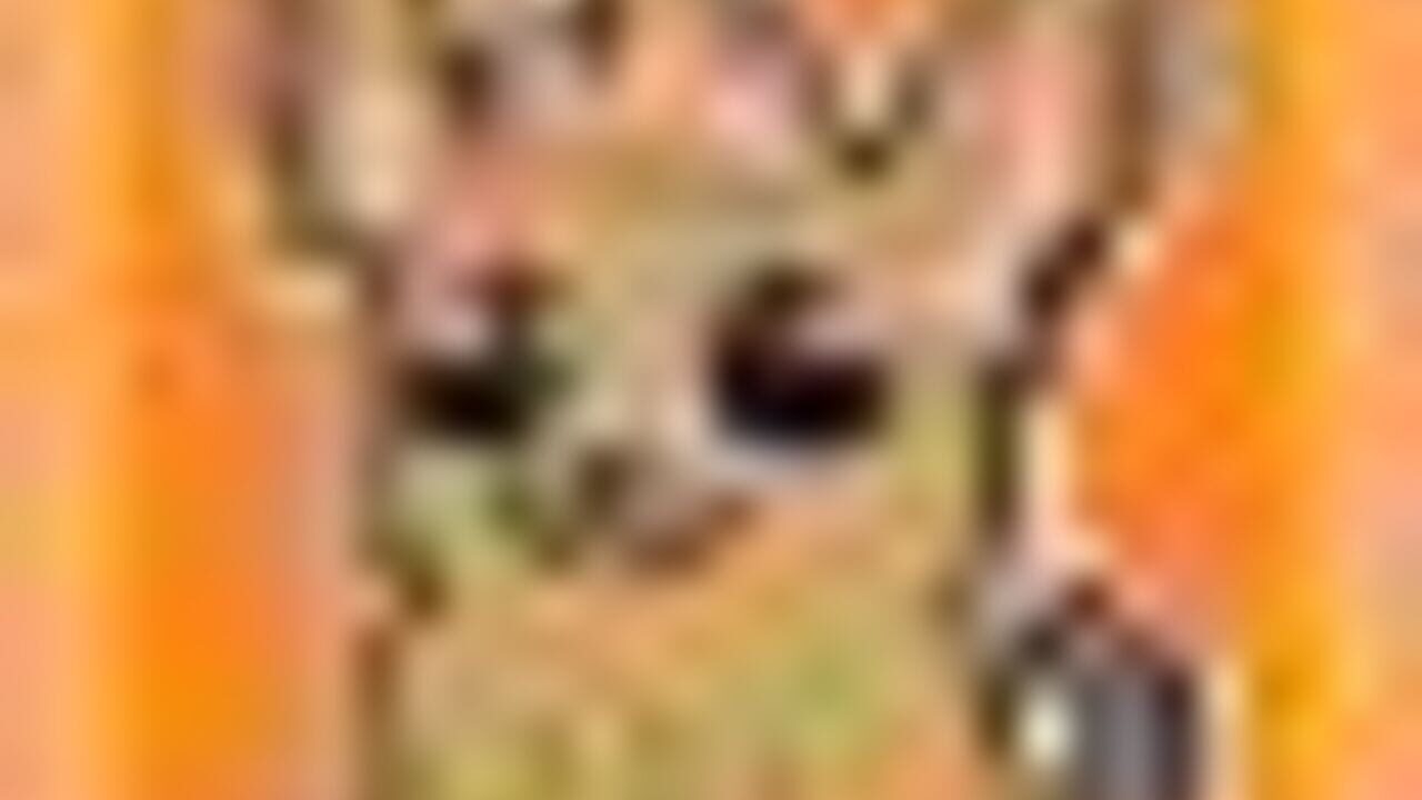 Chihuahua Controller artwork 4