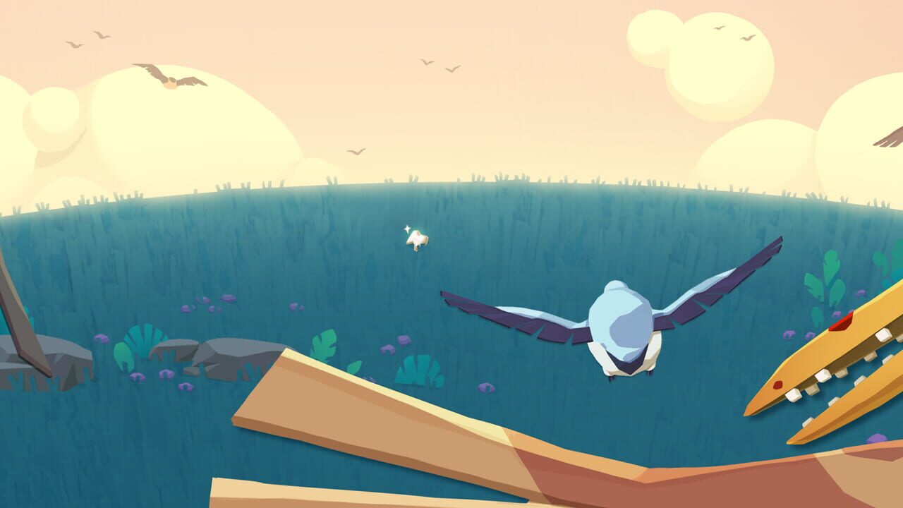 Birdteeth Image