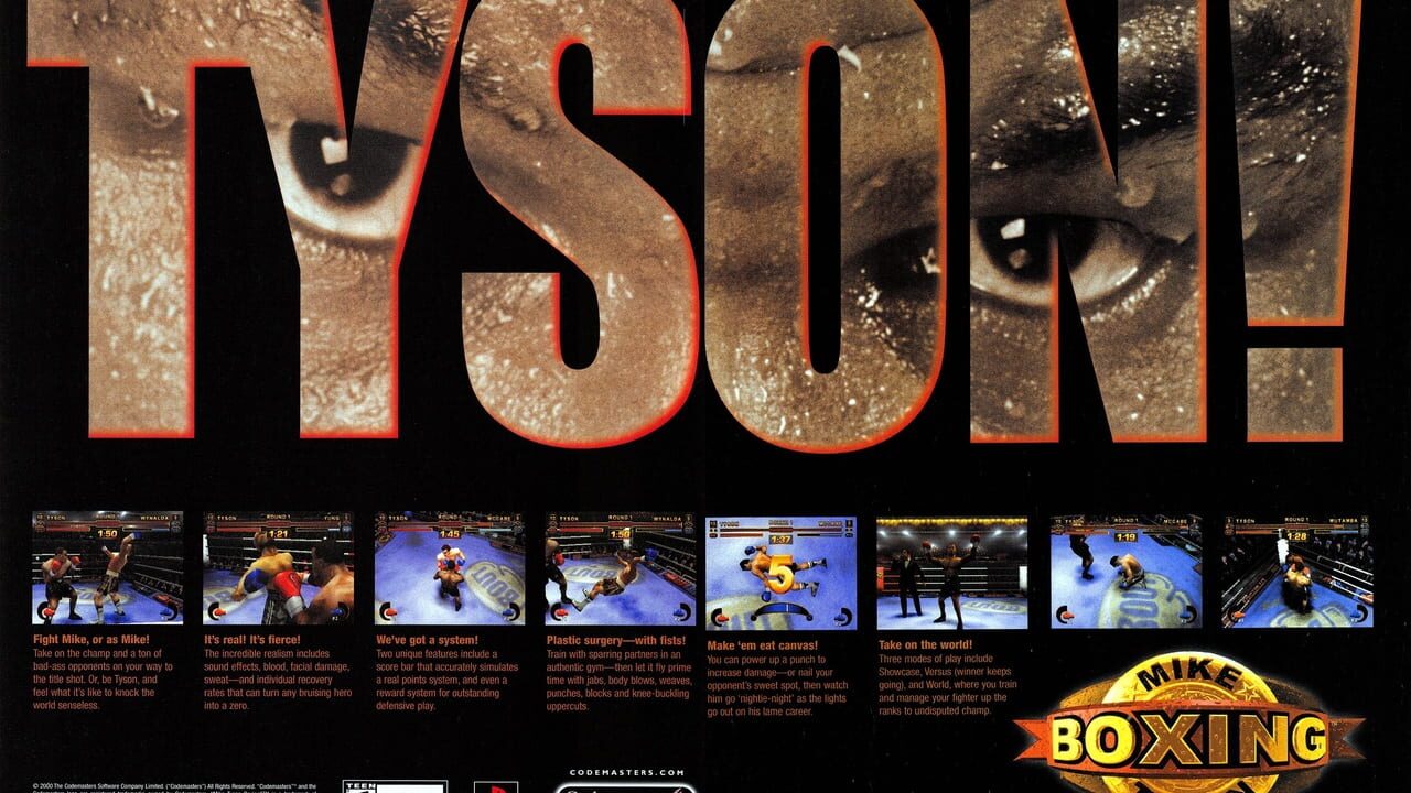 Mike Tyson Boxing Image