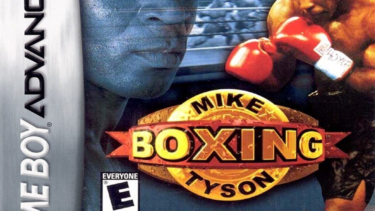 Mike Tyson Boxing Image
