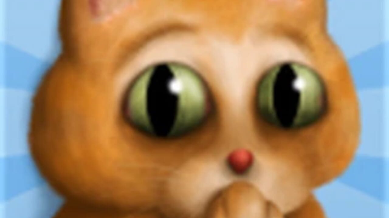 Clumsy Cat Image